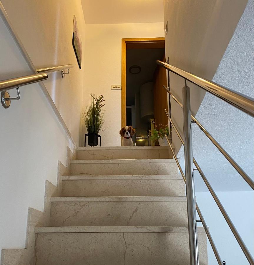 Mediterano Apartment - City Center Split Exterior foto